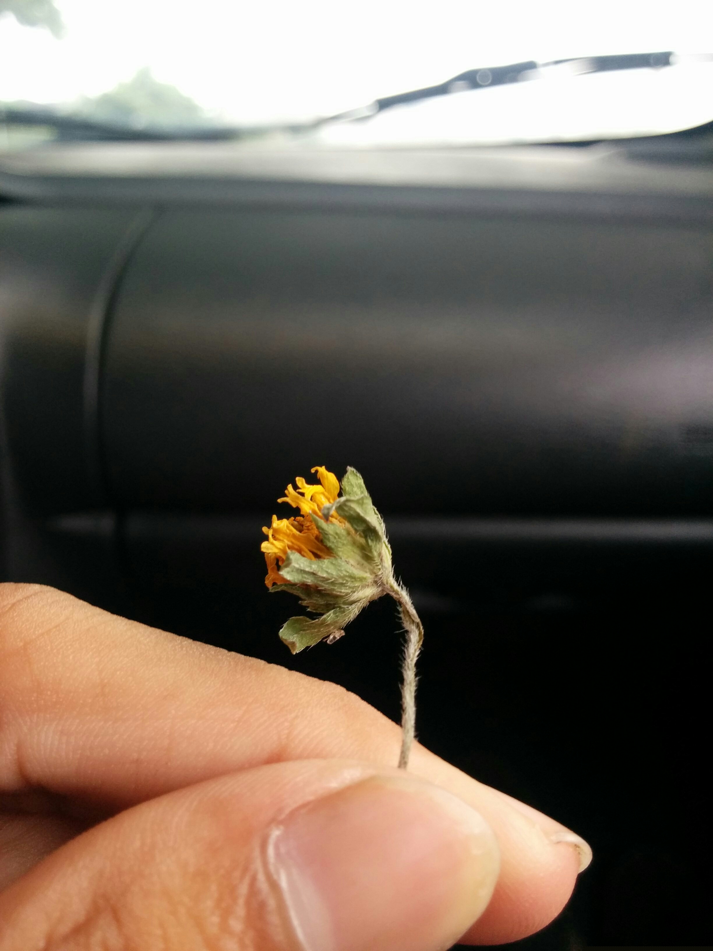 Jay and Jessica in their early days